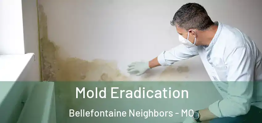  Mold Eradication Bellefontaine Neighbors - MO