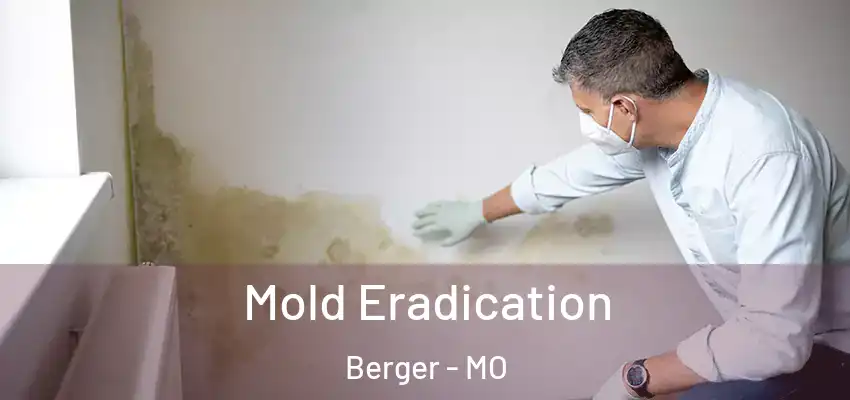  Mold Eradication Berger - MO