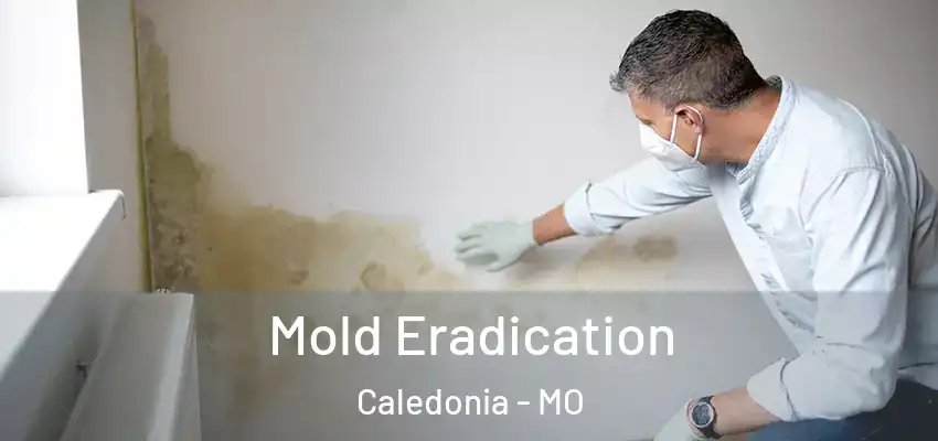  Mold Eradication Caledonia - MO