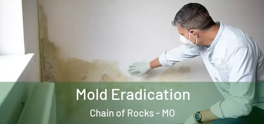  Mold Eradication Chain of Rocks - MO