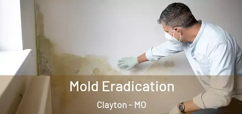  Mold Eradication Clayton - MO