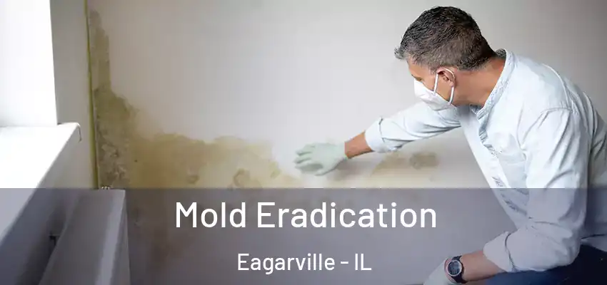  Mold Eradication Eagarville - IL