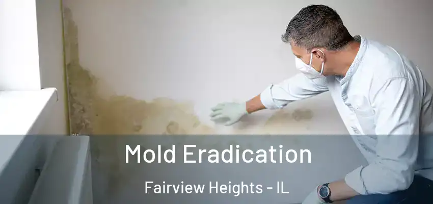  Mold Eradication Fairview Heights - IL