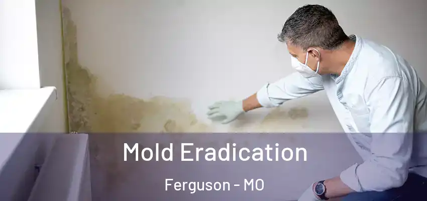 Mold Eradication Ferguson - MO