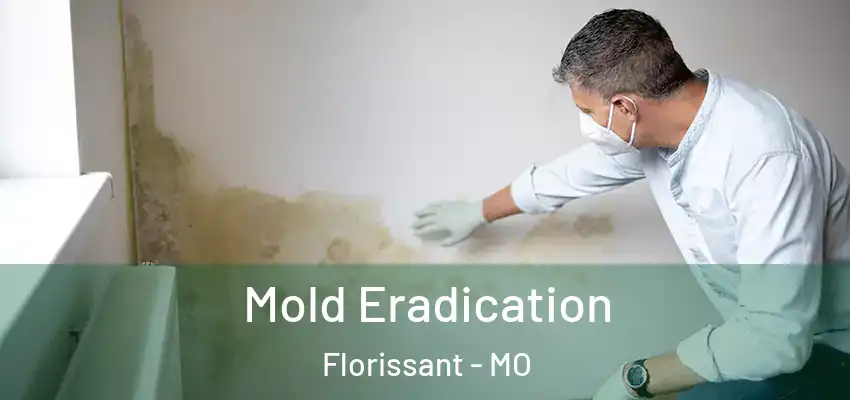  Mold Eradication Florissant - MO