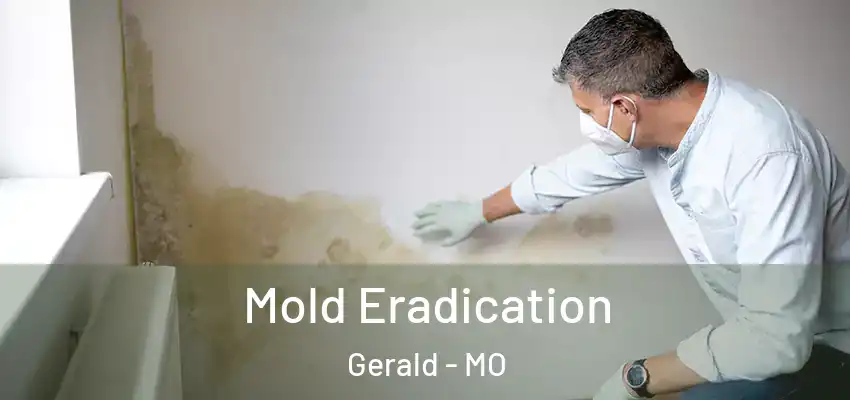Mold Eradication Gerald - MO