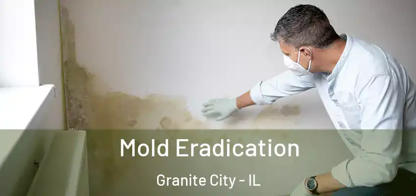  Mold Eradication Granite City - IL