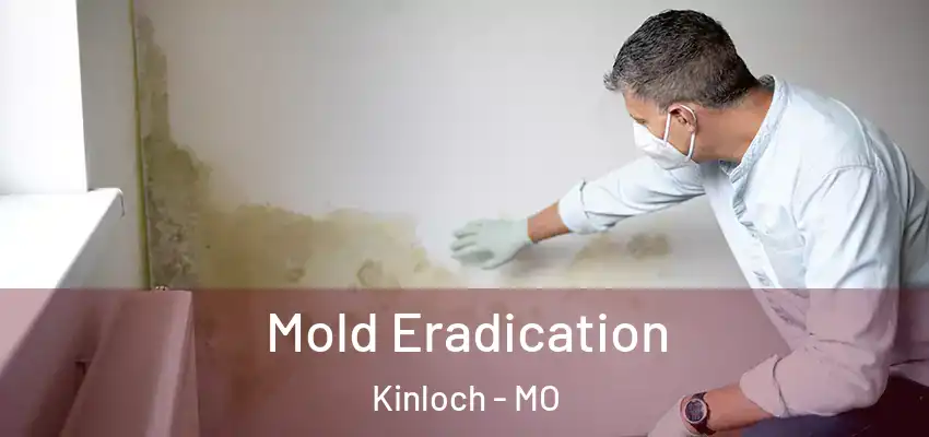  Mold Eradication Kinloch - MO