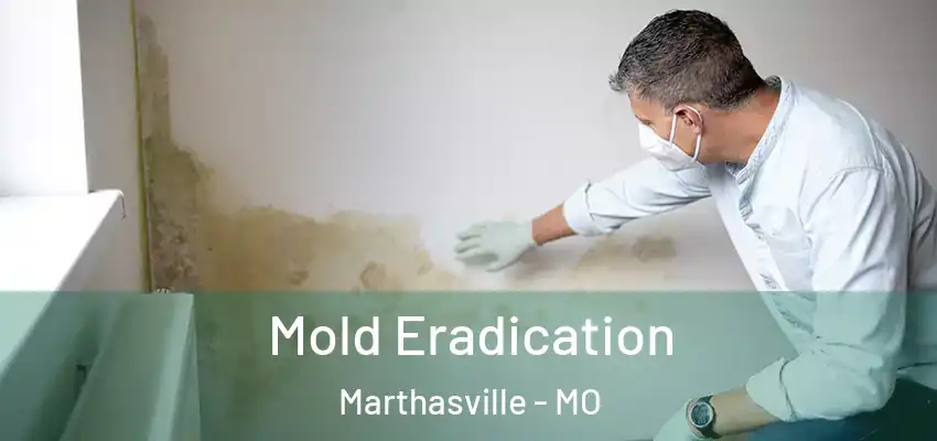 Mold Eradication Marthasville - MO