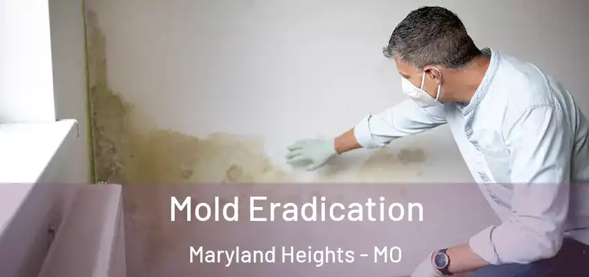  Mold Eradication Maryland Heights - MO