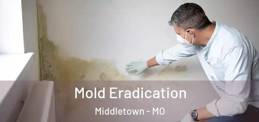  Mold Eradication Middletown - MO