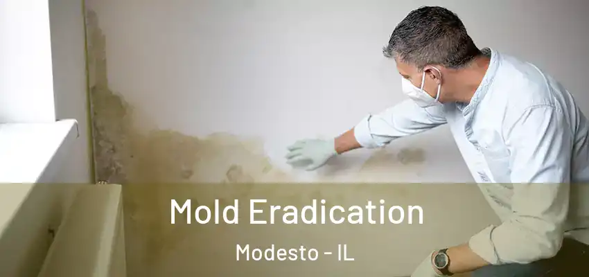  Mold Eradication Modesto - IL