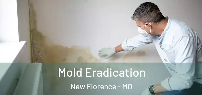  Mold Eradication New Florence - MO