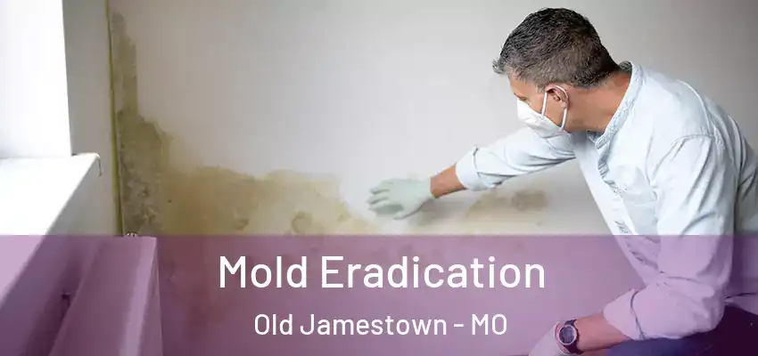  Mold Eradication Old Jamestown - MO