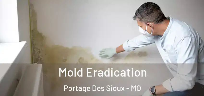  Mold Eradication Portage Des Sioux - MO