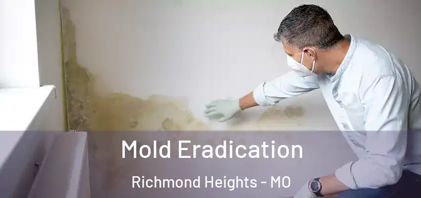  Mold Eradication Richmond Heights - MO