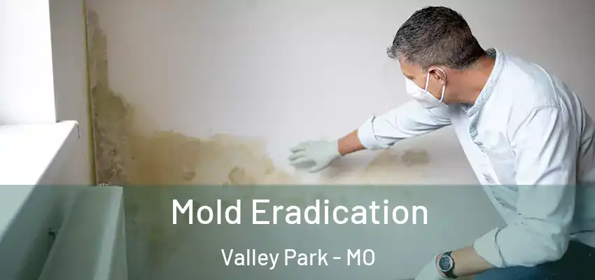 Mold Eradication Valley Park - MO