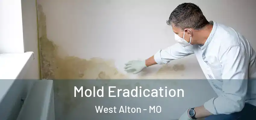 Mold Eradication West Alton - MO