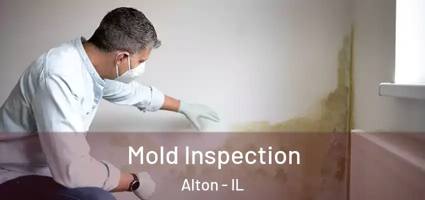  Mold Inspection Alton - IL