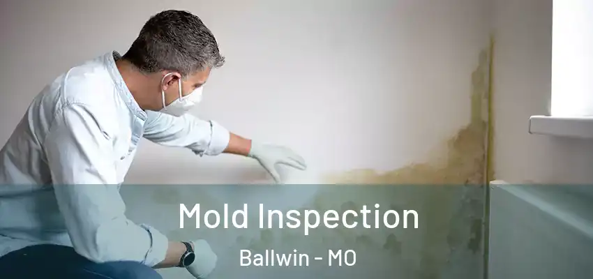  Mold Inspection Ballwin - MO