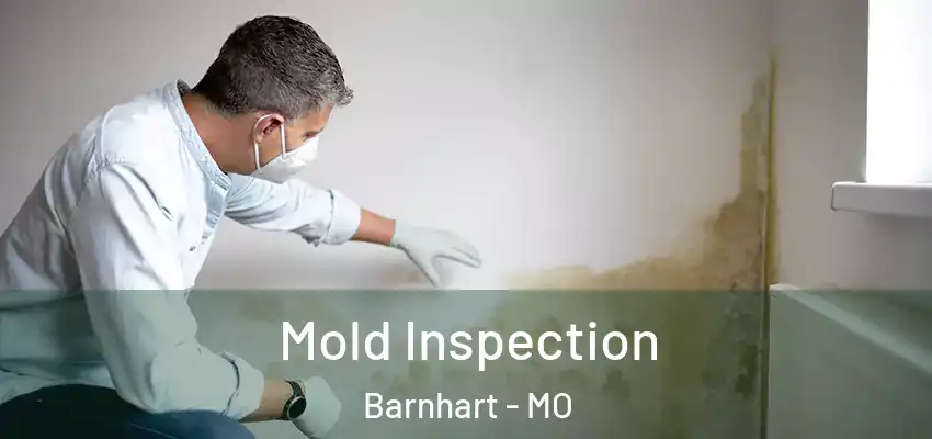  Mold Inspection Barnhart - MO