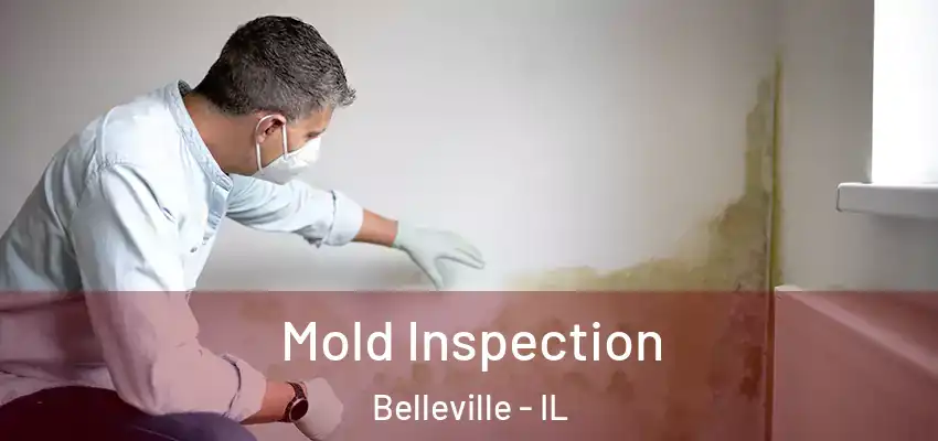  Mold Inspection Belleville - IL