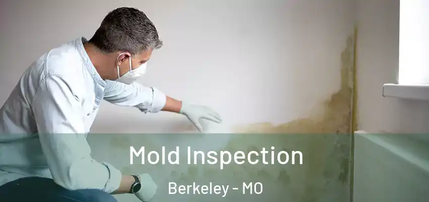  Mold Inspection Berkeley - MO