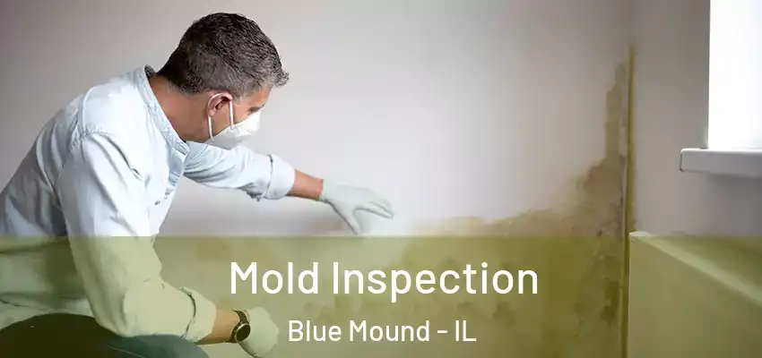  Mold Inspection Blue Mound - IL