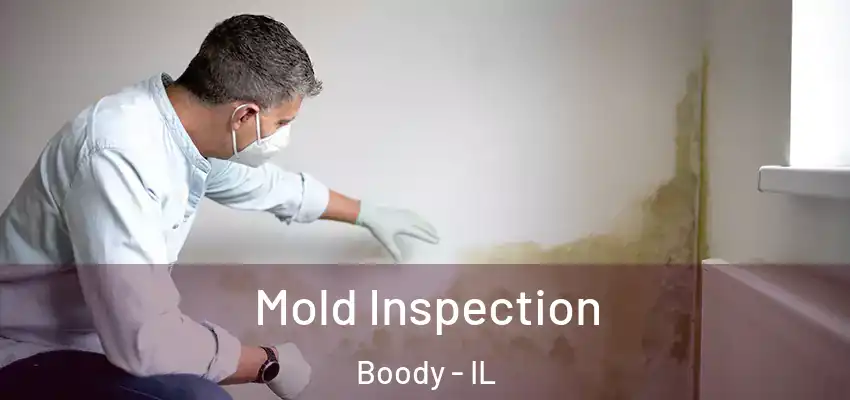  Mold Inspection Boody - IL