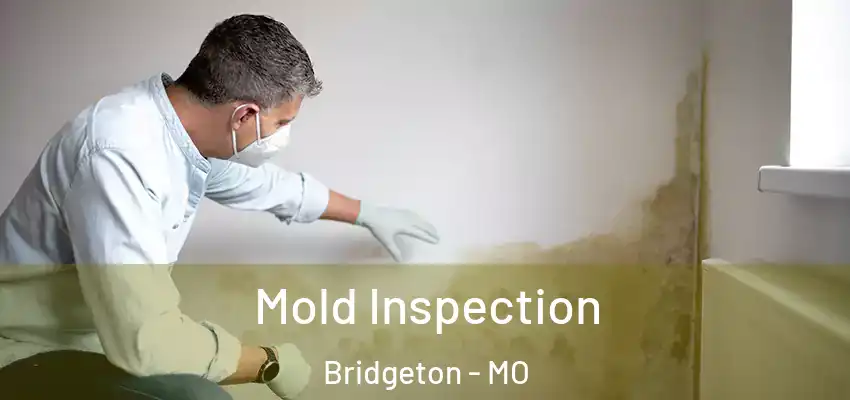  Mold Inspection Bridgeton - MO