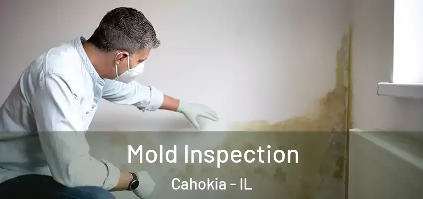  Mold Inspection Cahokia - IL
