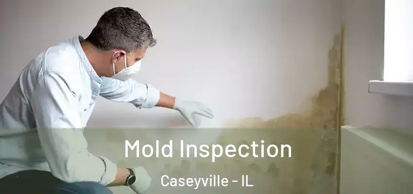  Mold Inspection Caseyville - IL