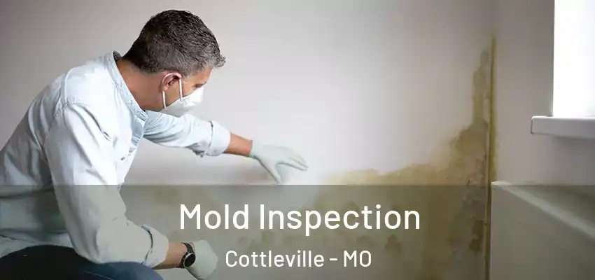  Mold Inspection Cottleville - MO