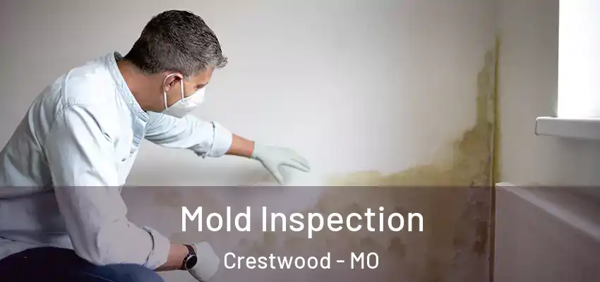  Mold Inspection Crestwood - MO