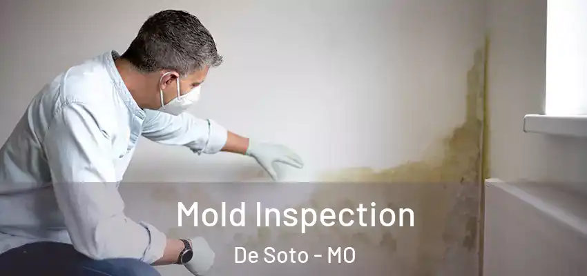  Mold Inspection De Soto - MO