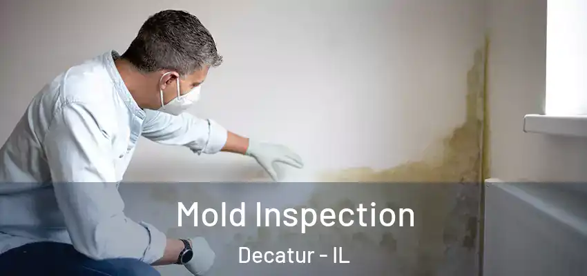  Mold Inspection Decatur - IL