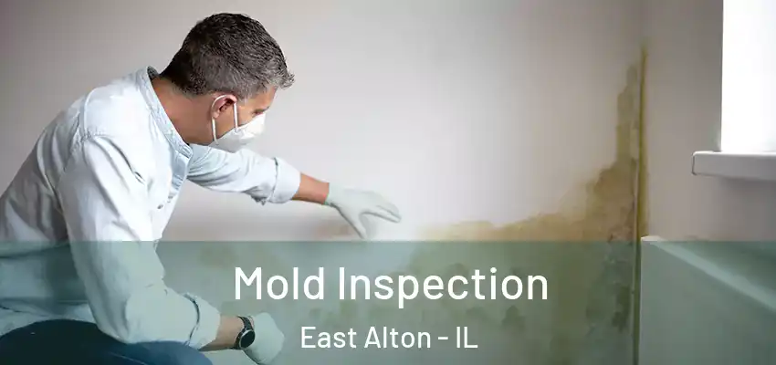  Mold Inspection East Alton - IL