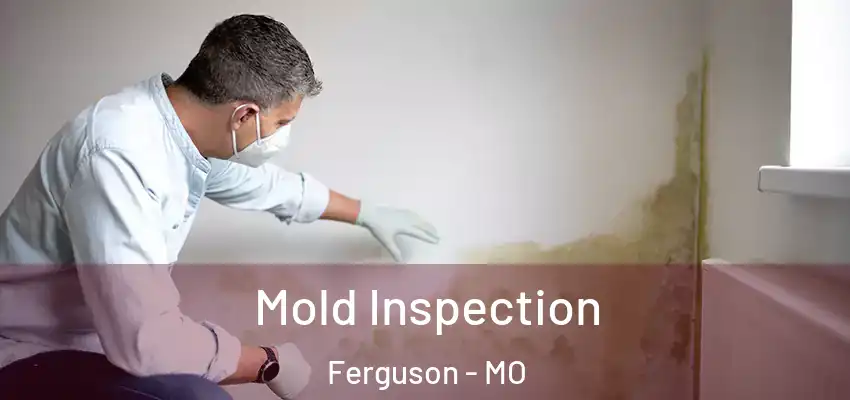  Mold Inspection Ferguson - MO