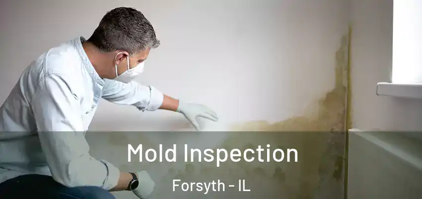 Mold Inspection Forsyth - IL