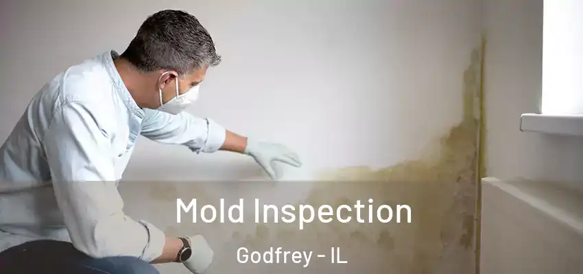  Mold Inspection Godfrey - IL