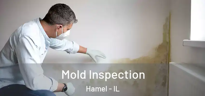  Mold Inspection Hamel - IL