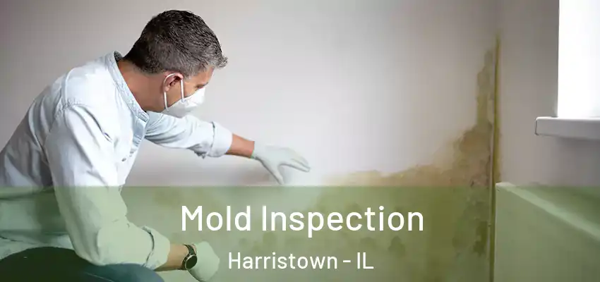 Mold Inspection Harristown - IL