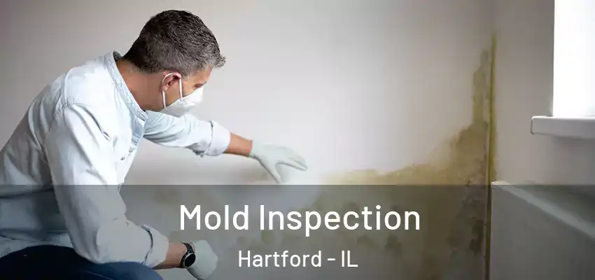  Mold Inspection Hartford - IL