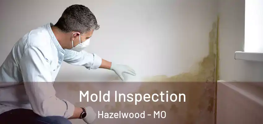  Mold Inspection Hazelwood - MO