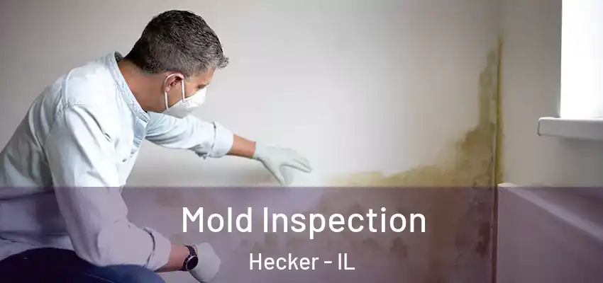  Mold Inspection Hecker - IL