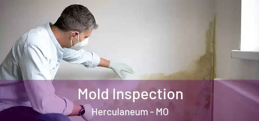 Mold Inspection Herculaneum - MO