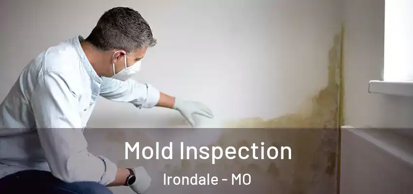 Mold Inspection Irondale - MO