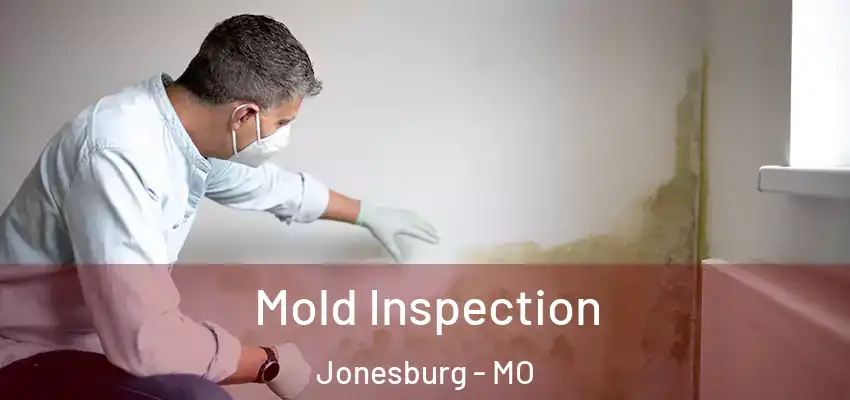  Mold Inspection Jonesburg - MO