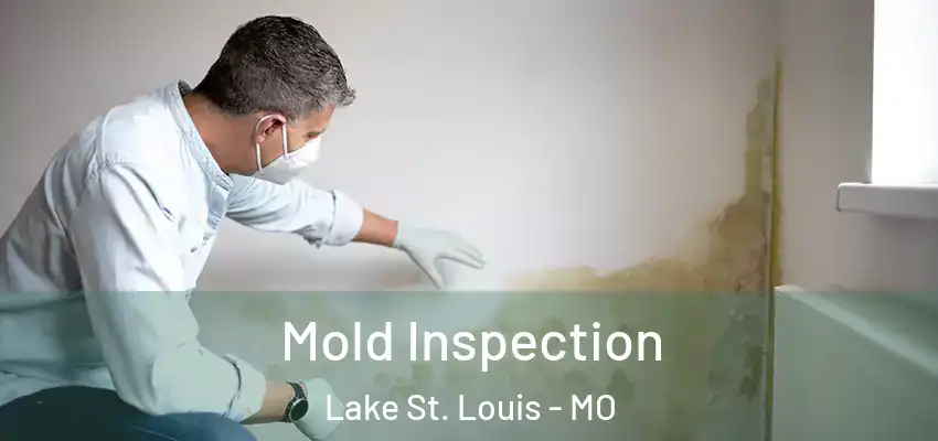  Mold Inspection Lake St. Louis - MO