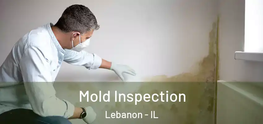  Mold Inspection Lebanon - IL